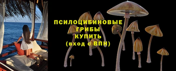 амф Магас