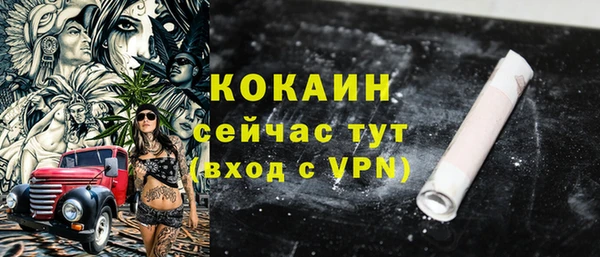 амф Магас