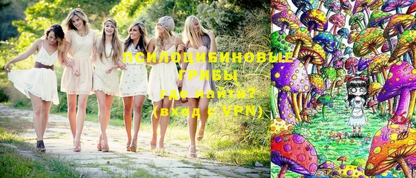дурь Майский
