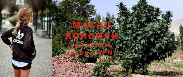 амф Магас
