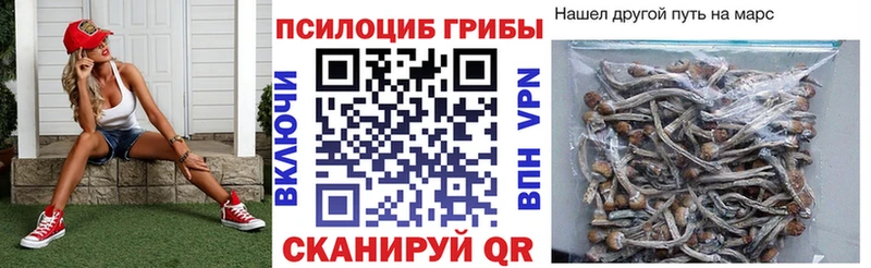 Псилоцибиновые грибы ЛСД  где купить наркоту  Макарьев 